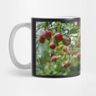 Red ripe apples in the tree Mug